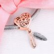 berloque filtro dos sonhos em duas plumas