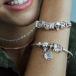 berloque charm corvinal  prata 925